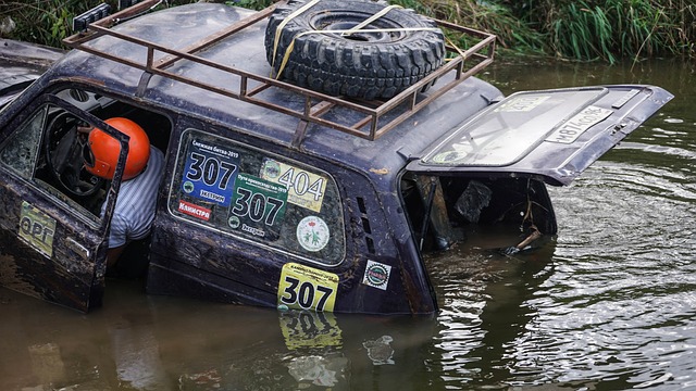 他們卻仍未 他們卻仍未