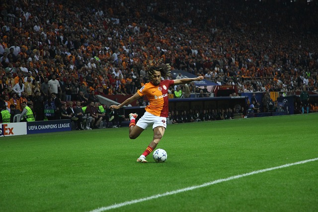 过去的几个 过去的几个