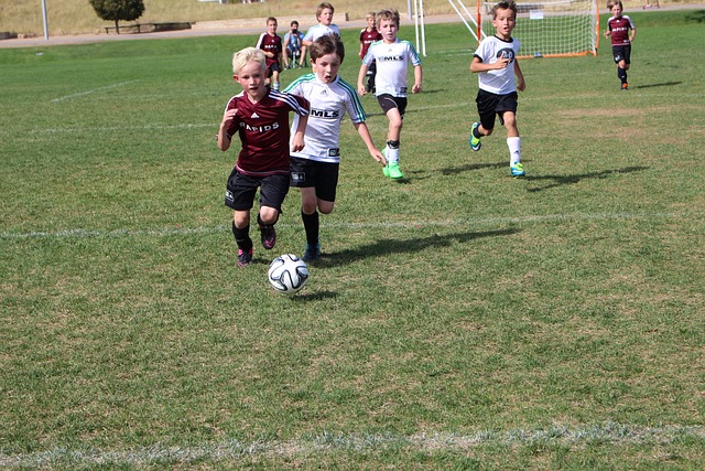 加剧了积分 加剧了积分