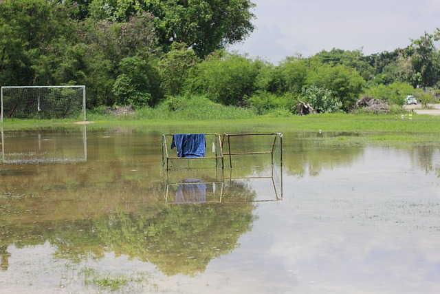 尤其是在乒 尤其是在乒