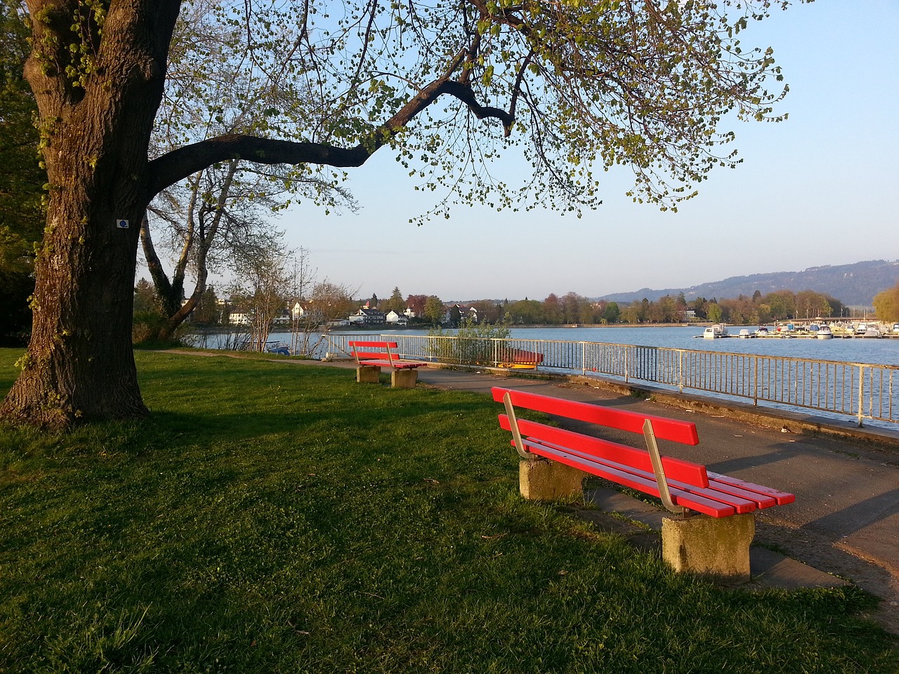 士带来了经 士带来了经