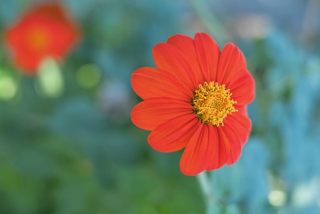 湖人险胜火箭，雷霆十连胜，西部排名赛季后赛席位争夺激烈​.