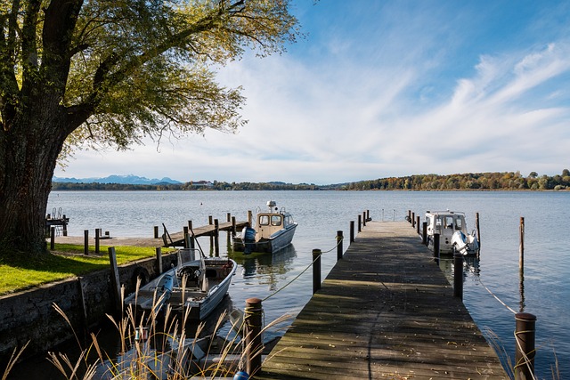 她与教练团 她与教练团