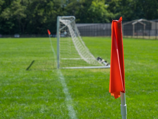 验丰富的中 验丰富的中