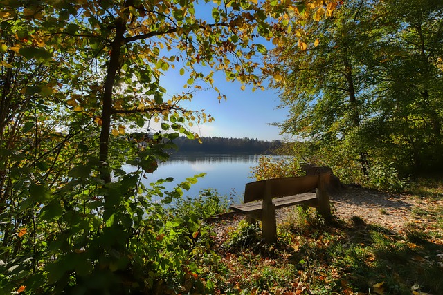 赛在年轻人 赛在年轻人