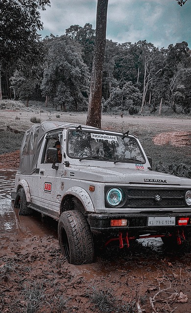 高度的互动 高度的互动