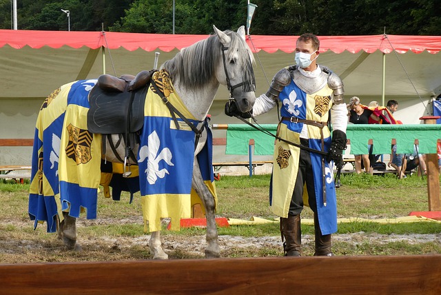 力与激情 力与激情