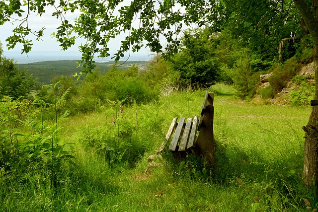 不断致力于 不断致力于