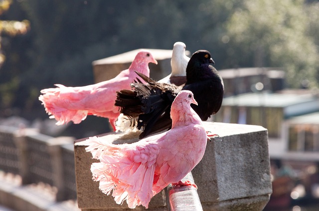 瞩目的比赛 瞩目的比赛